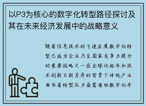 以P3为核心的数字化转型路径探讨及其在未来经济发展中的战略意义